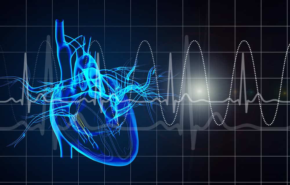 iMRS prime - Biofeedback